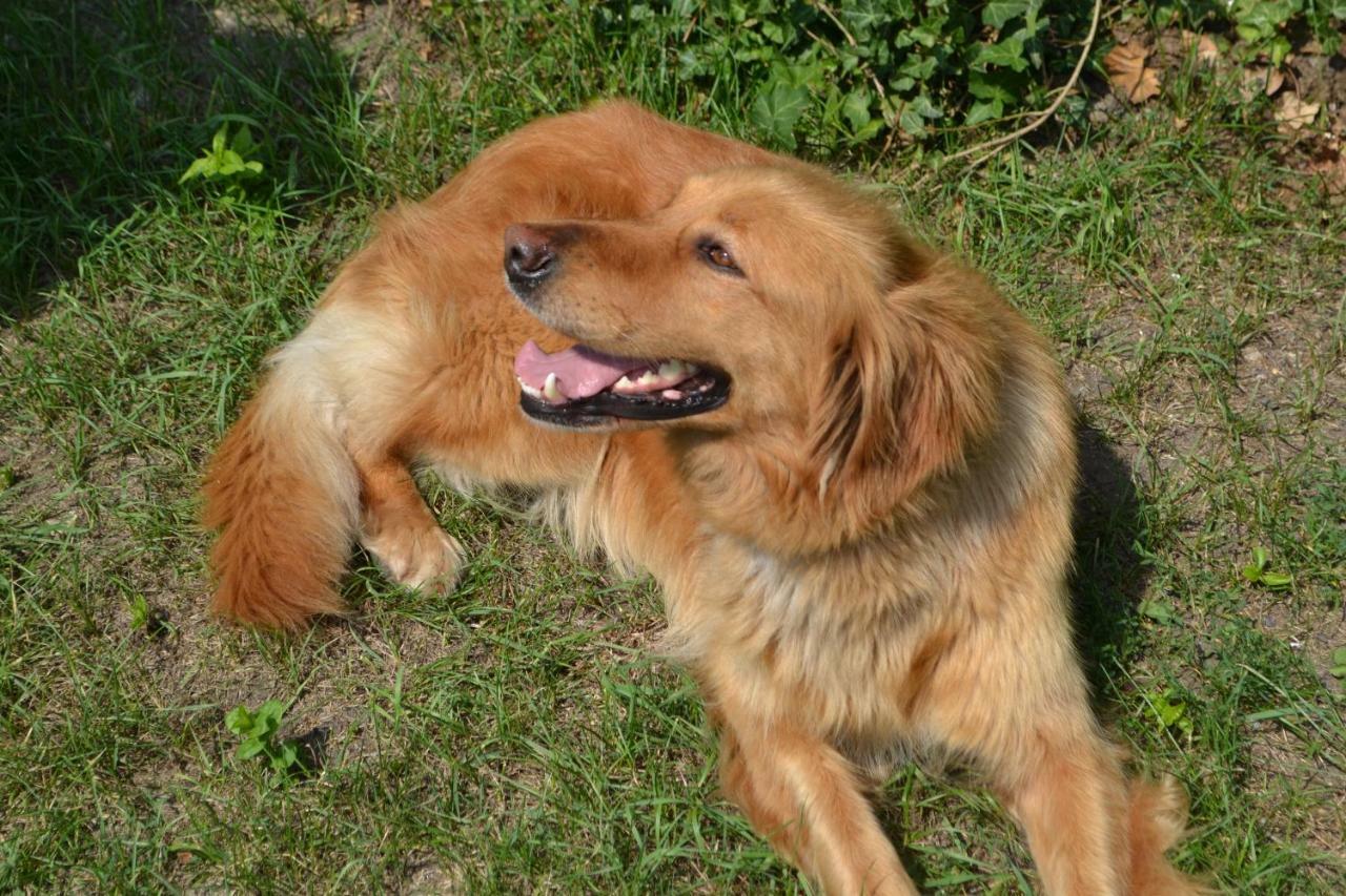Agroturystyka Burylowka Osiecznica Екстер'єр фото
